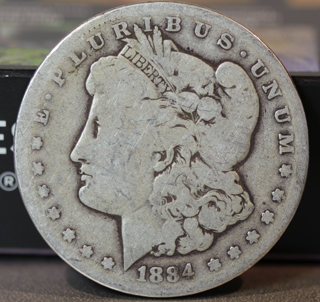 1884-CC-Morgan---What-Would-You-Do.