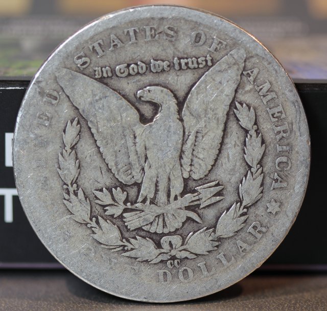 1884-CC-Morgan---What-Would-You-Do.