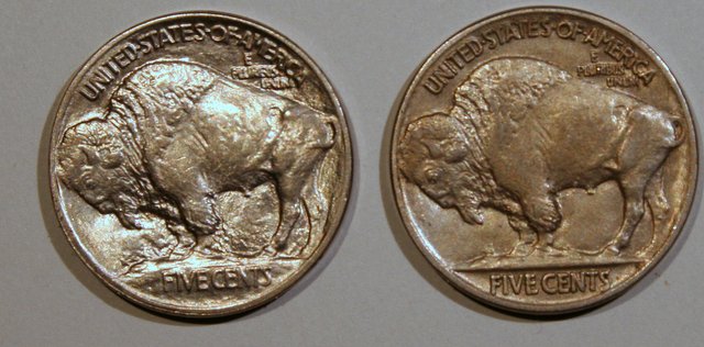 The-23-Days-Of-Buffalo-Nickels-Ii