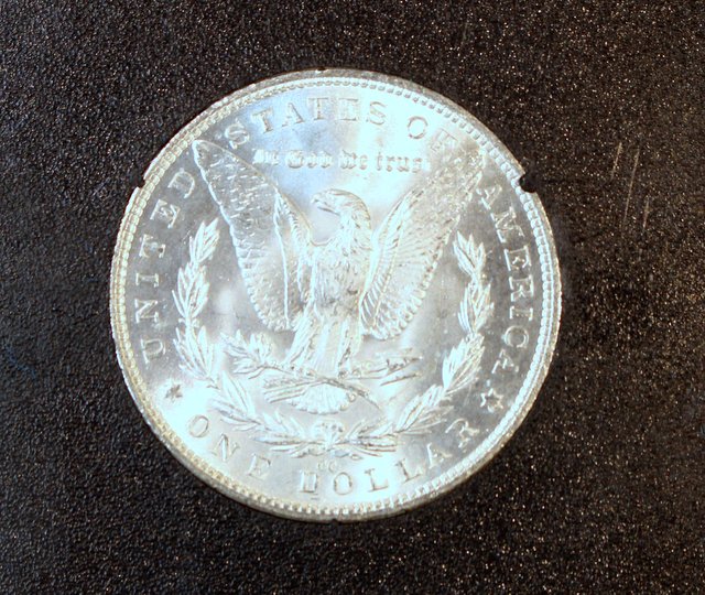 Toned-Morgans-With-My-Silver-This-Week---May-6th-2016