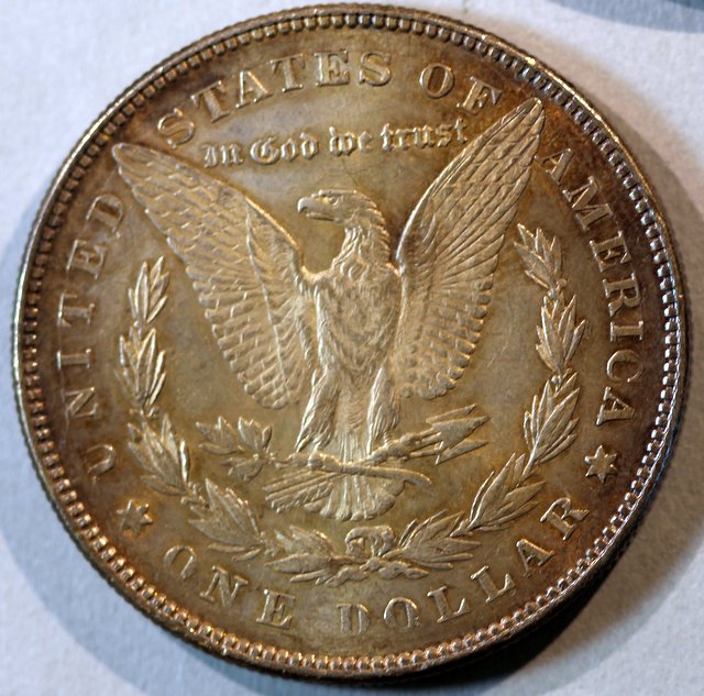 1878-8TF-Morgan-Dollar