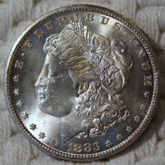 1883-CC-Morgan-For-My-Dansco