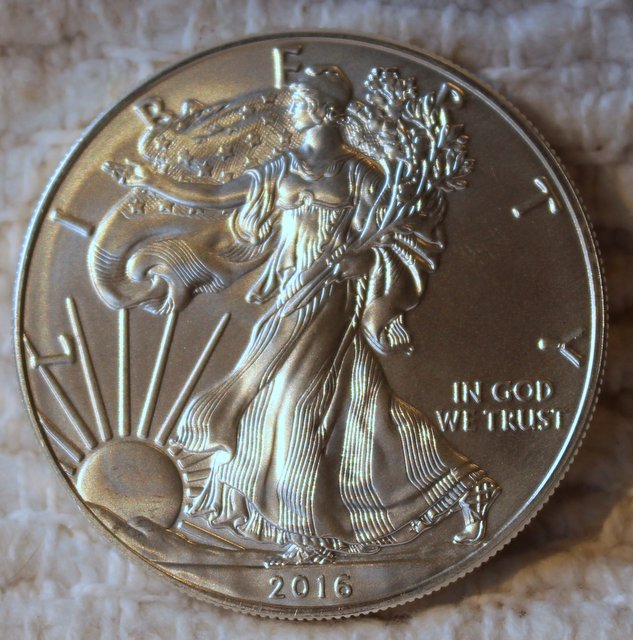 2016-Bullion-Silver-Eagle-Strike-Through-Or-Lamination-Error?