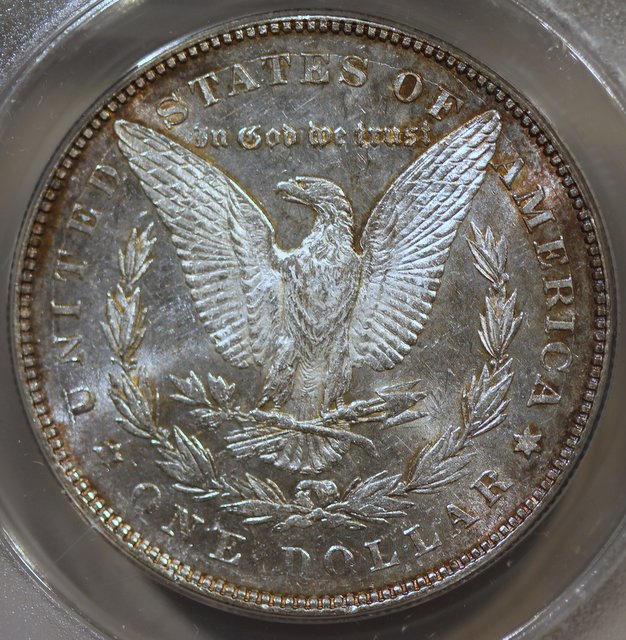 The-28-Days-Of-Morgan-Dollars-Part-4