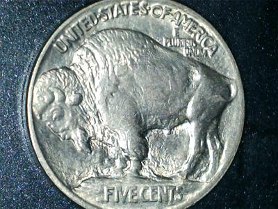 1913-Buffalo-Type-1..new-Microscope-Test