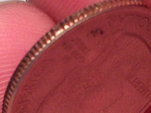 Reeding-Error-On-2014-P-Everglades-Quarter