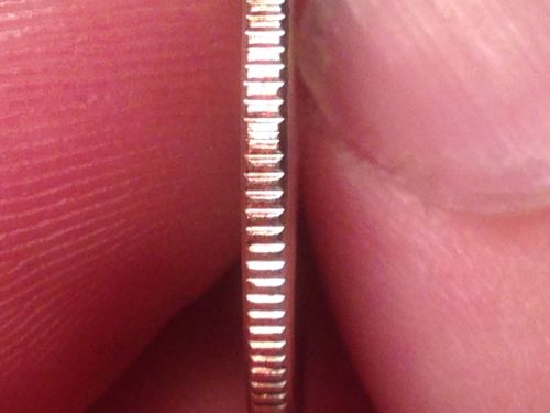 Reeding-Error-On-2014-P-Everglades-Quarter