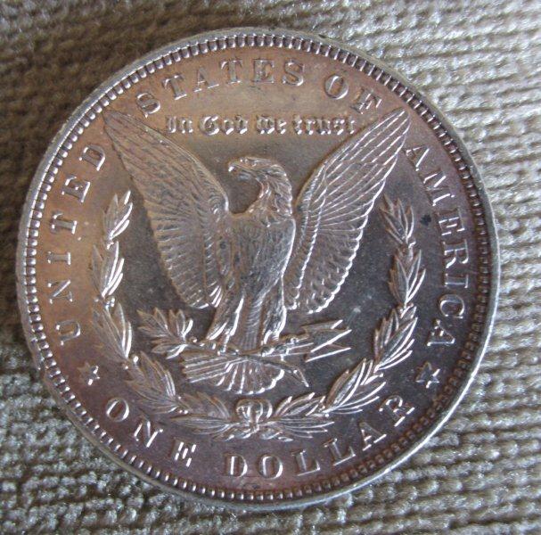 1888-Silver-Morgan---Is-It-Worth-Slabbing