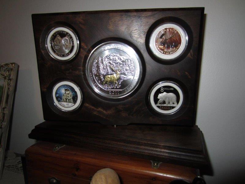 Ideas-For-My-Coin-Display