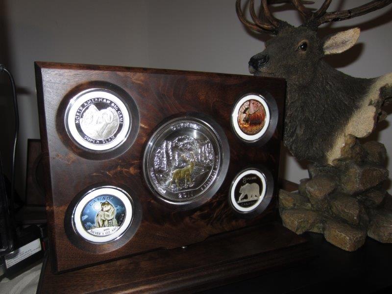 Ideas-For-My-Coin-Display