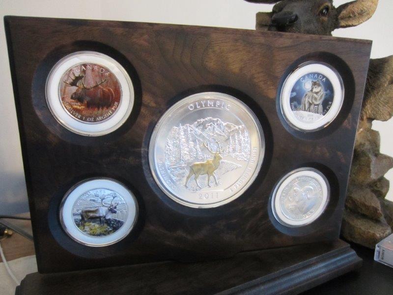 Ideas-For-My-Coin-Display