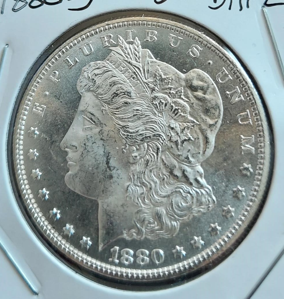 1880-S-Morgan-Grading-And-PL-Opinions