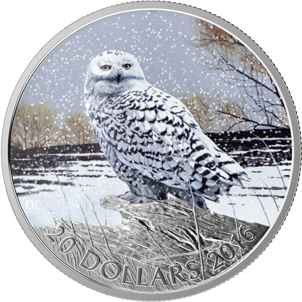 Now-Available-From-The-RCM-2016-Snowy-Owl