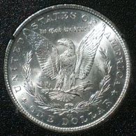 1884-CC-Morgan-Dollar