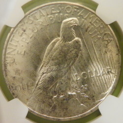 You-Vs-NGC-1935-Peace-Dollar