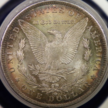 1884-O-Morgan-Toned