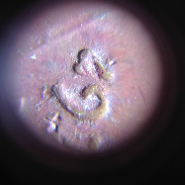 1975-D-Lmc-Possible-Error-Coin-In-Date