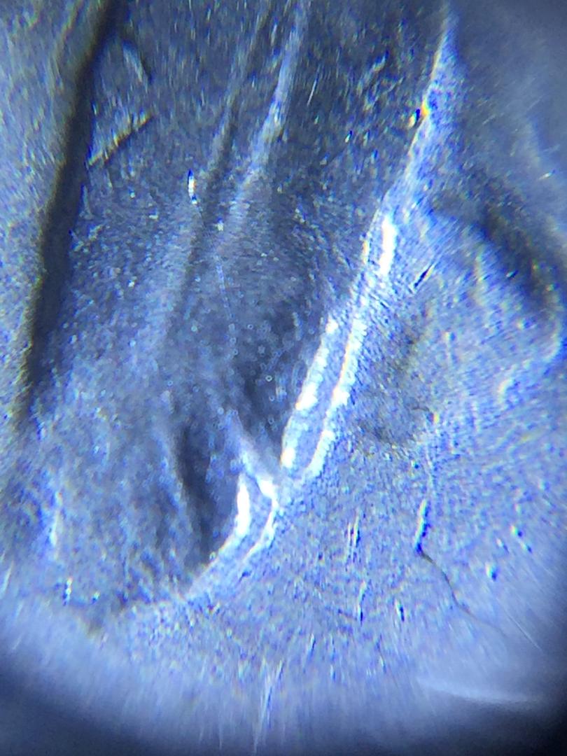 1924-D-Buffalo-Nickel,-Help-Please!