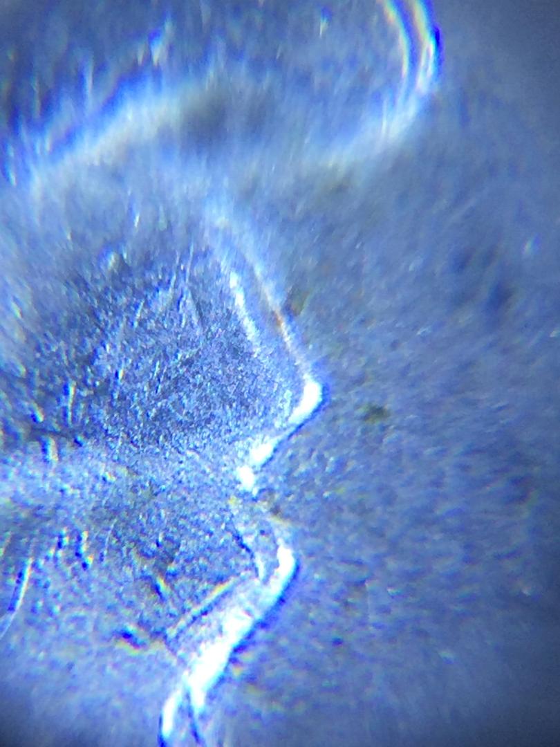 1924-D-Buffalo-Nickel,-Help-Please!