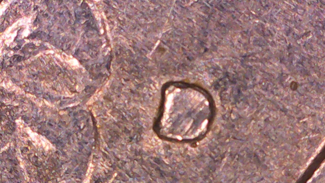 1979-D-Quarter-Mint-Mark-Fill-And-Double-Die?