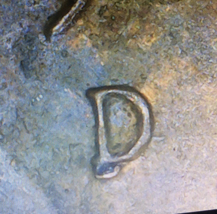 1985-D-Penny---Could-It-Be-DDO,-Zinc-Rot,-Repunch,-Cud,-Or-Something-Else?