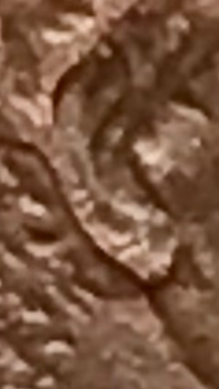1984-D-Lincoln-Cent-Weird-Errors?-What-Do-You-Call-This?