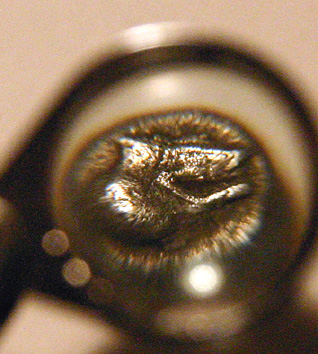 Archaic-Coin-?-Id:-Lydia-Electrum