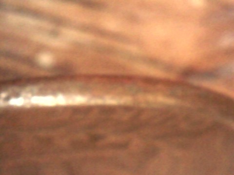 This-Quarter-Looks-Odd.