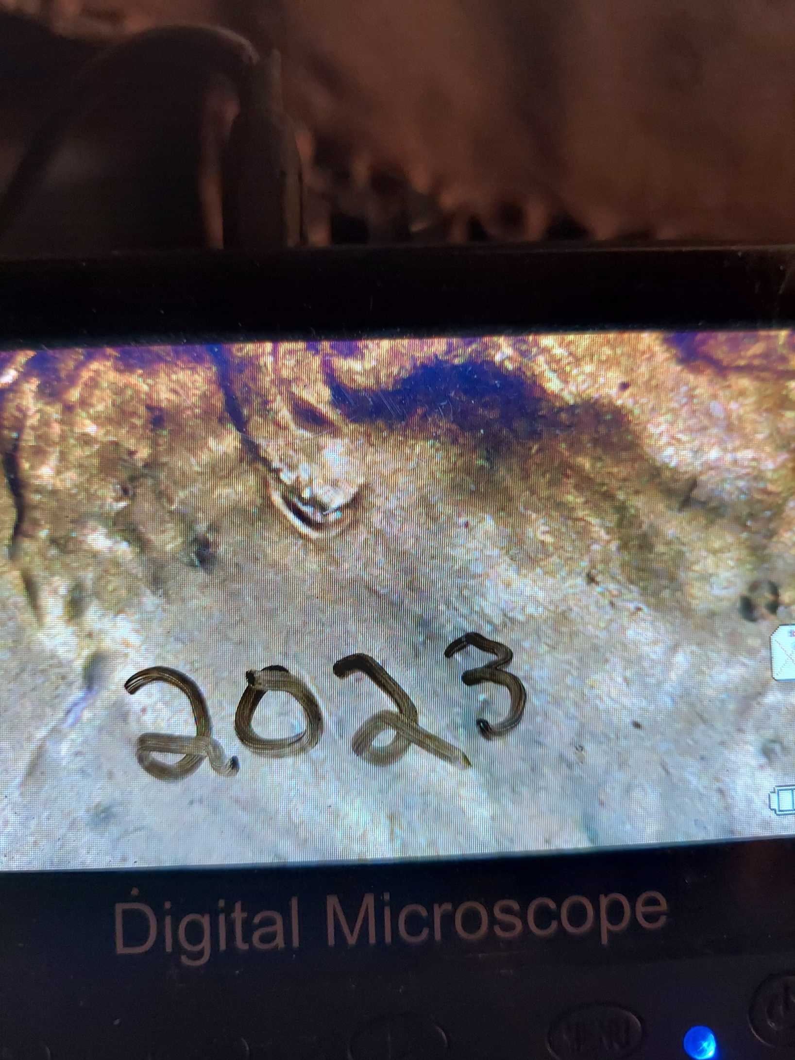 2023-D-1-Cent-Possible-New-Error?