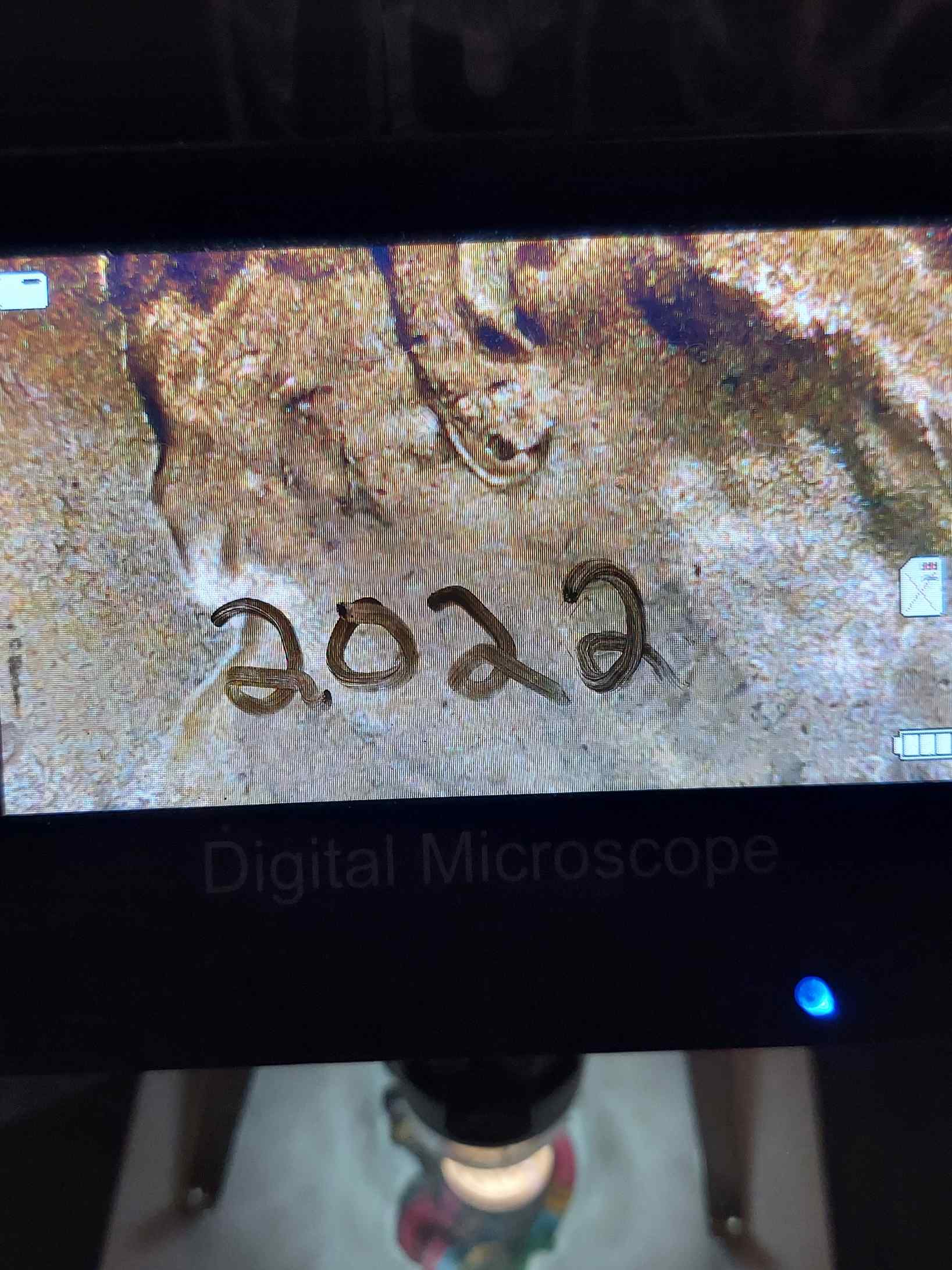 2023-D-1-Cent-Possible-New-Error?
