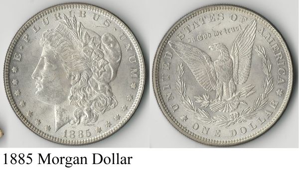 Morgan-Dollar-Collection