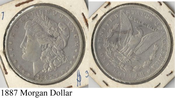 Morgan-Dollar-Collection