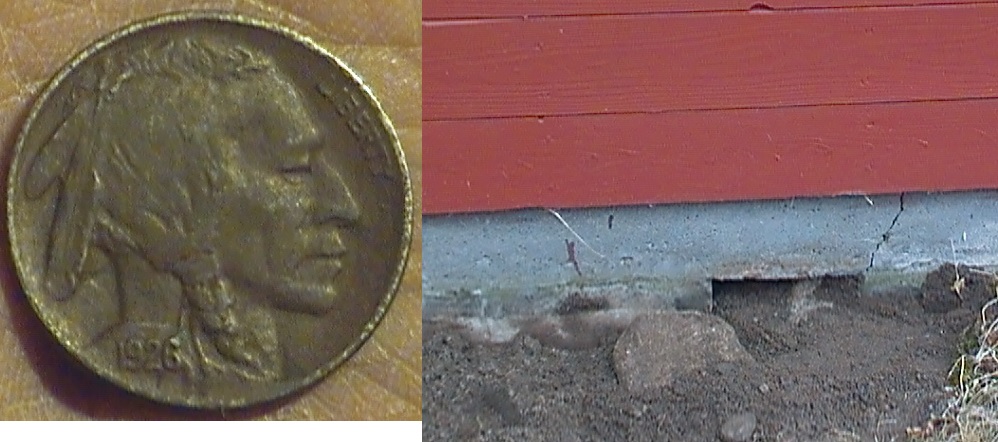 Metal-Detecting-Questions-Prior-To-Buying-A-Detector