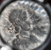 Need-Help-To-ID--Roman-Copper-Coins-I-Found-At-Relic-Site