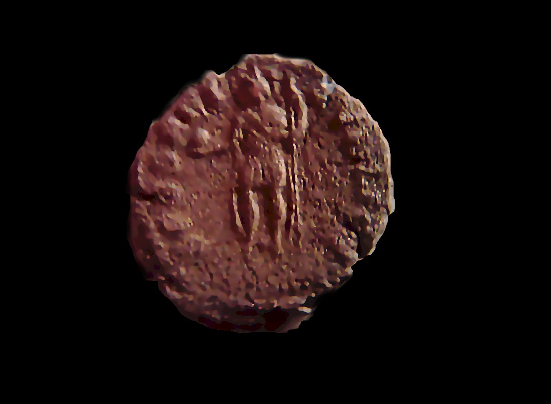 Need-Help-To-ID--Roman-Copper-Coins-I-Found-At-Relic-Site