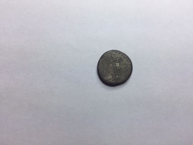 New-Member-Intro-And-Need-Help