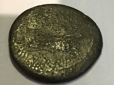 New-Member-Intro-And-Need-Help