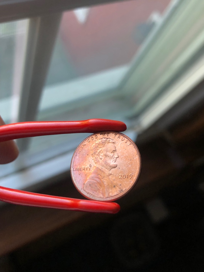 2019-Shield-Cent-Toned