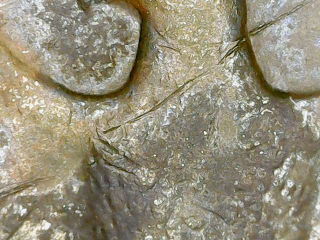 Pocket-Change-1997-P-Quarter-Dollar-Crack-On-Obverse-And-Reverse