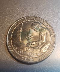 2020-State-Quarter-I-Think-Has-A-Dye-Error.-Need-Input-Please