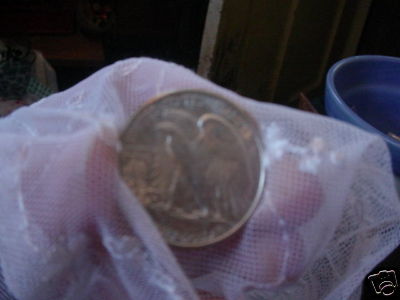 Last-Chance!!---How-Not-To-Take-An-Ebay-Picture