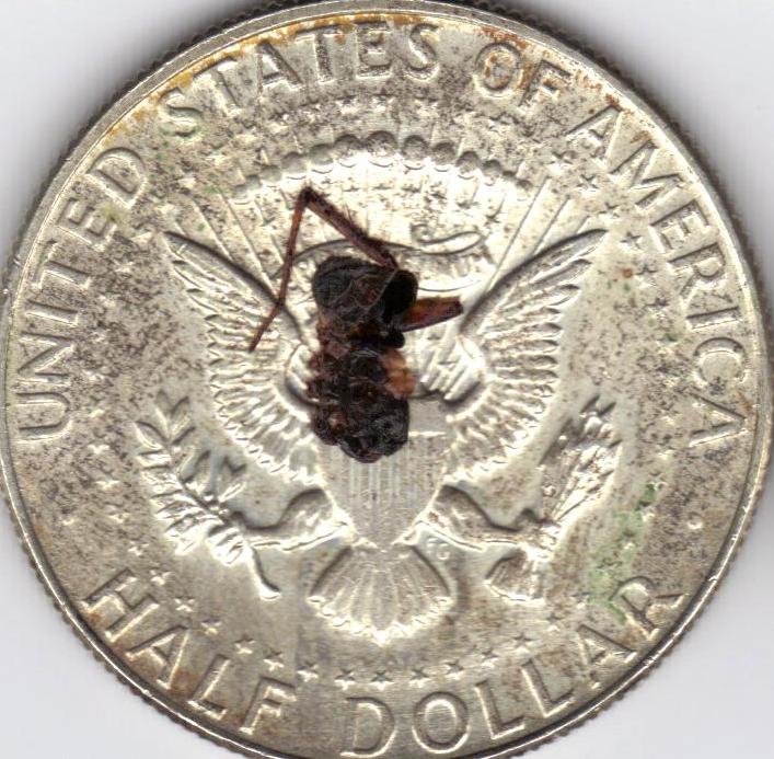 1999-SBA-Question