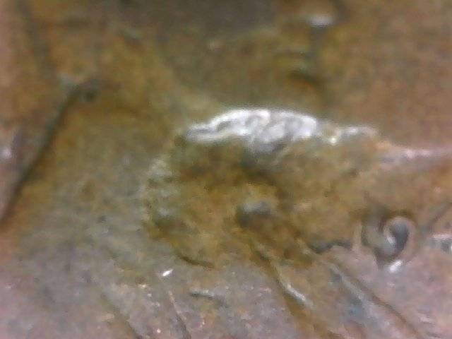 1944-LWC-Big-Deep-Obverse-Lamination