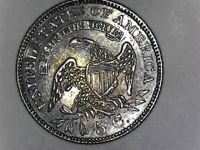 1829-Capped-Bust-Half-Dime-For-Grading