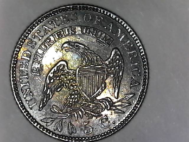 1829-Capped-Bust-Half-Dime-For-Grading