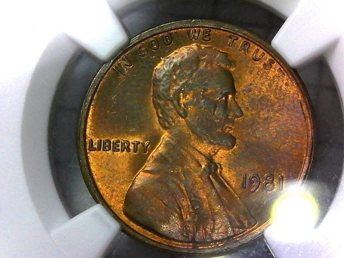 1981-LMC-You-Vs-NGC.-Dbl-Stk-In-Collar