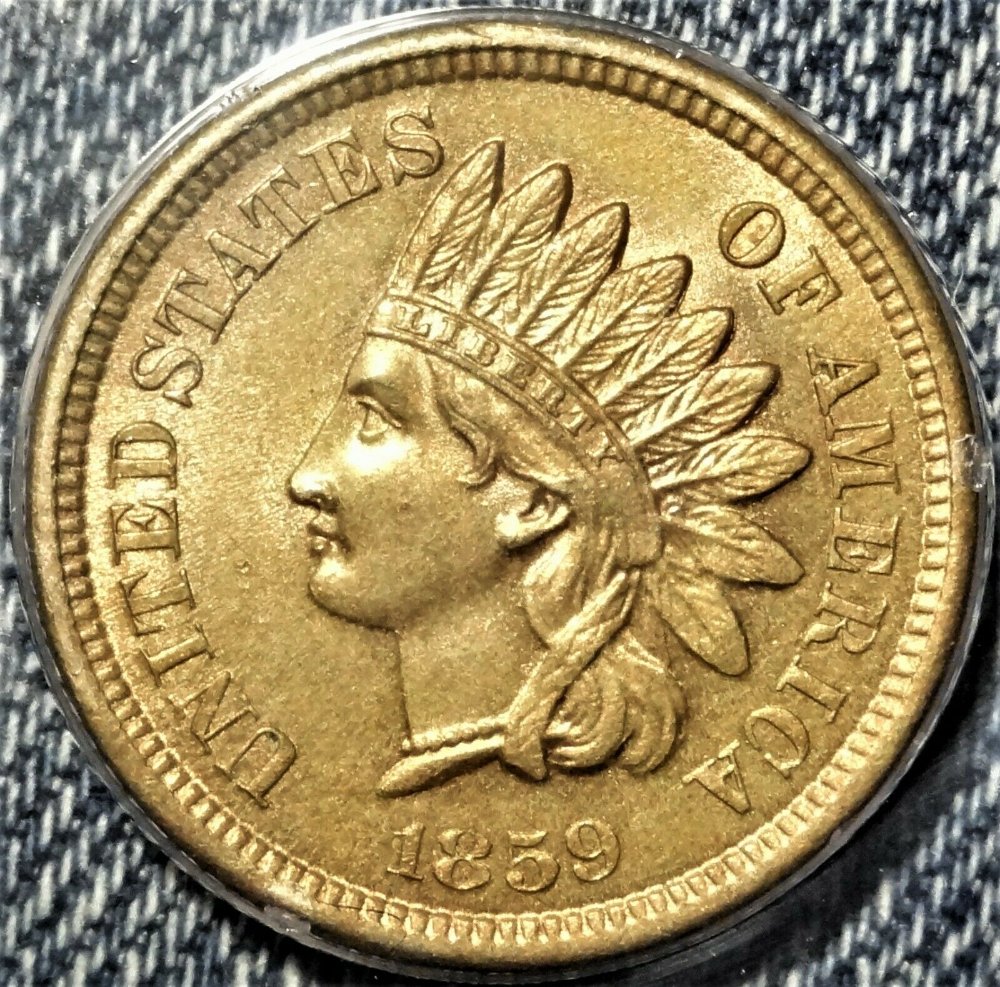 1859-Indian-Head-Cent-You-Vs-PCGS