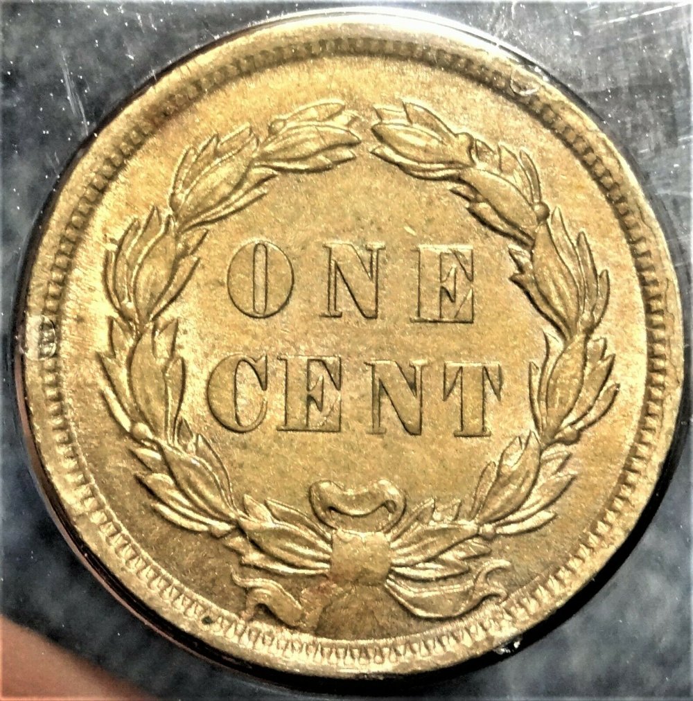 1859-Indian-Head-Cent-You-Vs-PCGS