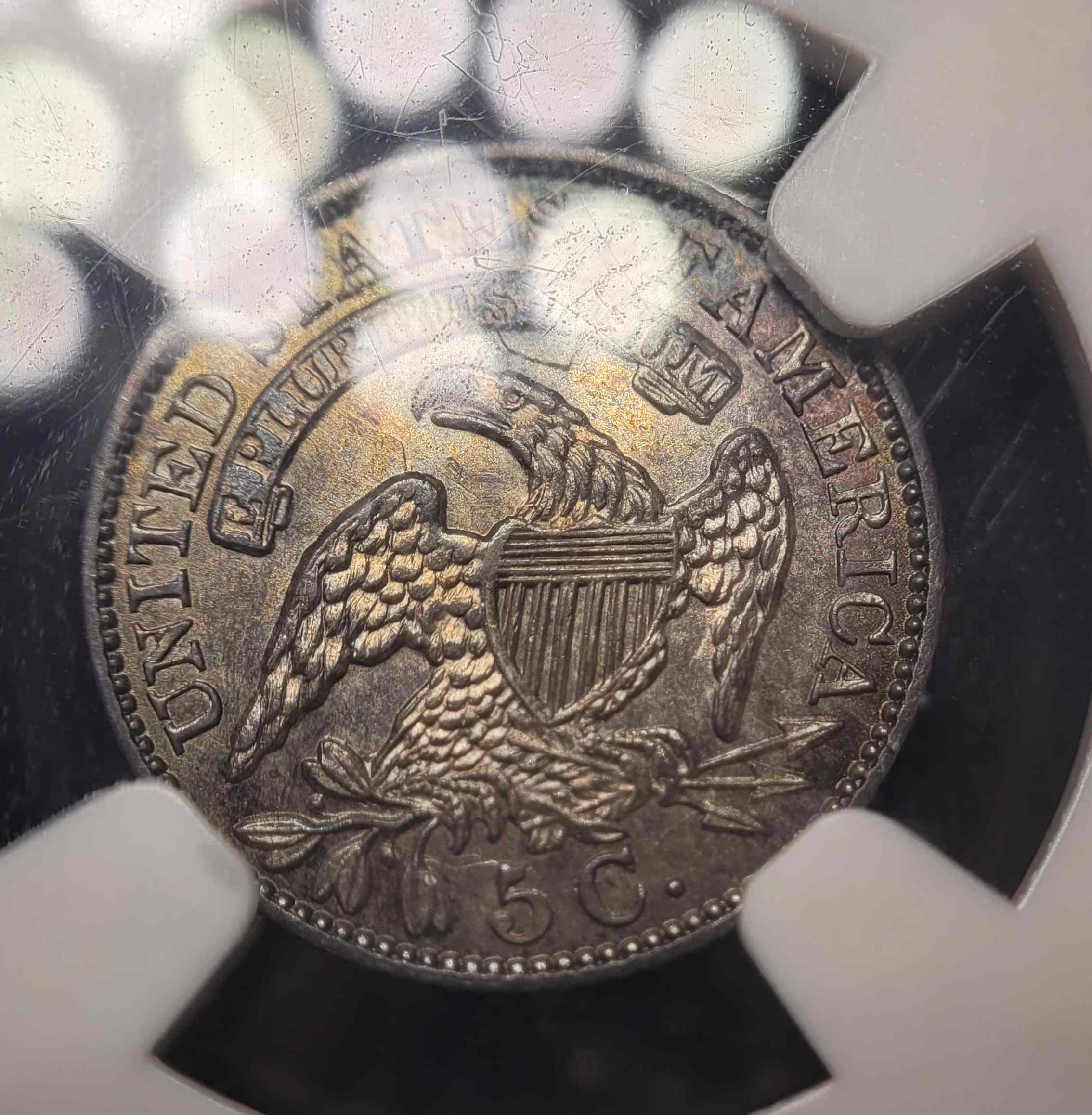 ANA-Newp-#3:-1831-Capped-Bust-Half-Dime-NGC-MS-62