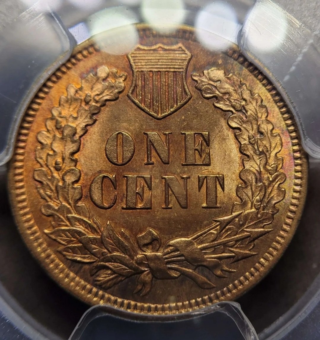 1905-Indian-Head-Cent-You-Vs-PCGS